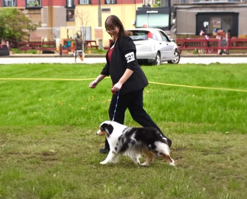 Niagara dog breeder