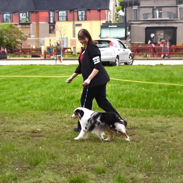 Niagara dog breeder